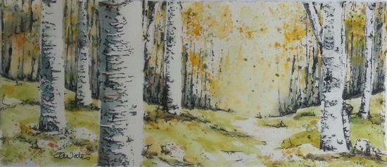 Autumn Birch