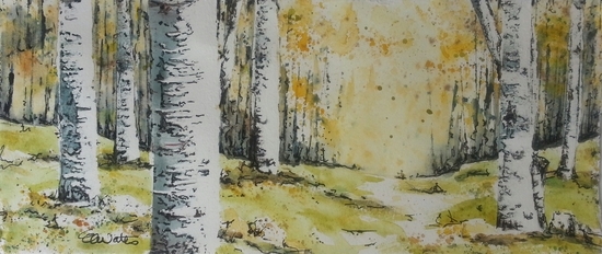 Autumn Birch