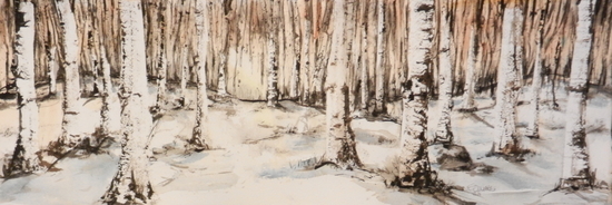 Birch Trees--Winter
