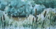 Bullrushes at Still Creek