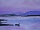Comox Valley sunset