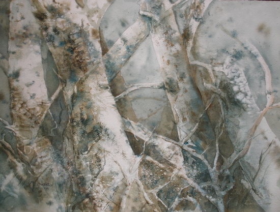 Faerie Woods