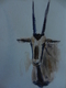 Gemsbuck sketch