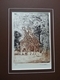 Giraffe print