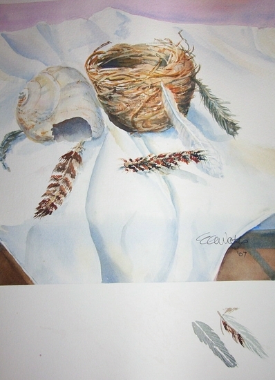 Shell and Nest