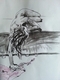 Study for a Mermaid