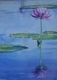 Tello's Lotus