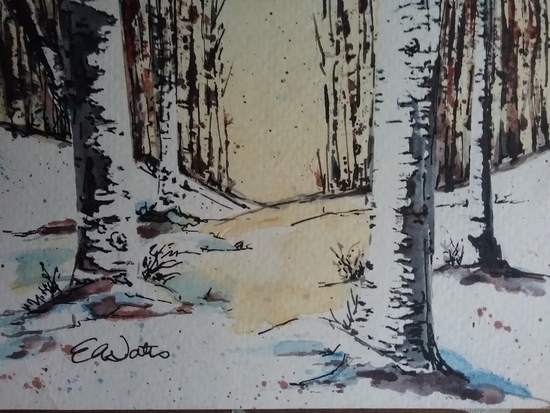 Winter Birch