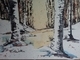 Winter Birch