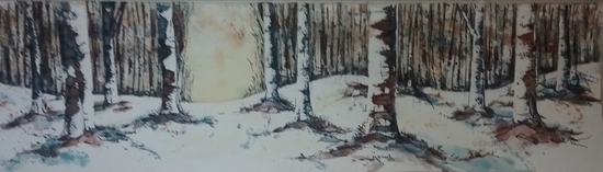 Winter Birch