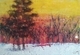 Winter Sunset